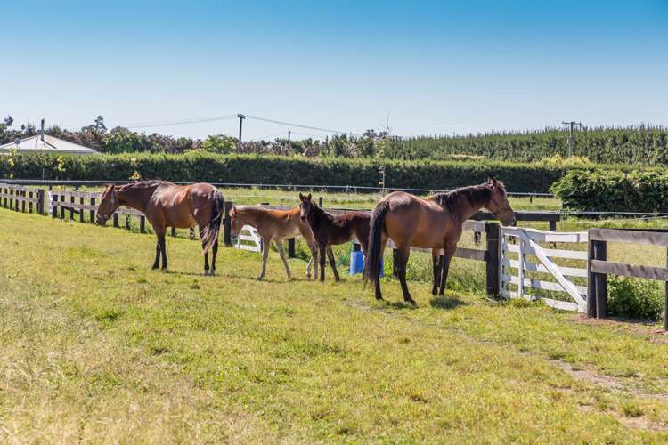 67 Alston Road Rolleston_19