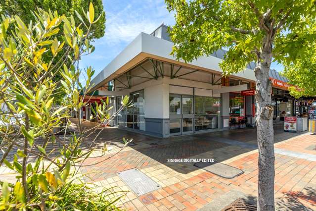 12 George Street Blenheim Central_2