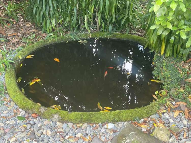 744 Coatesville Riverhead Highway Riverhead_5