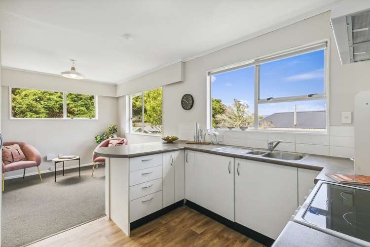 137 Awarua Street Ngaio_7