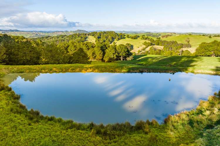 85 Lusk Road Ruawai_8