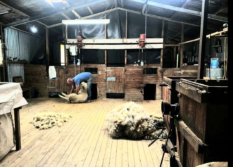 131a Savage Road Waihi_6