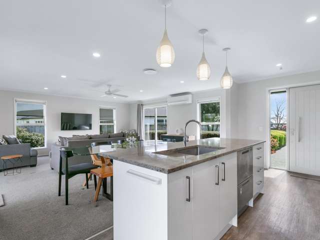 15 Gladys Place Levin_4