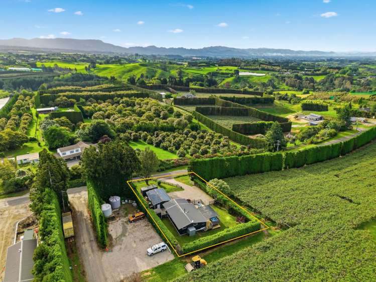 395 Youngson Road Whakamarama_19