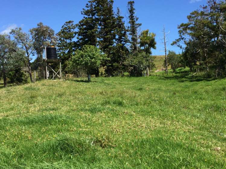 1242 Oneriri Road Kaiwaka_4