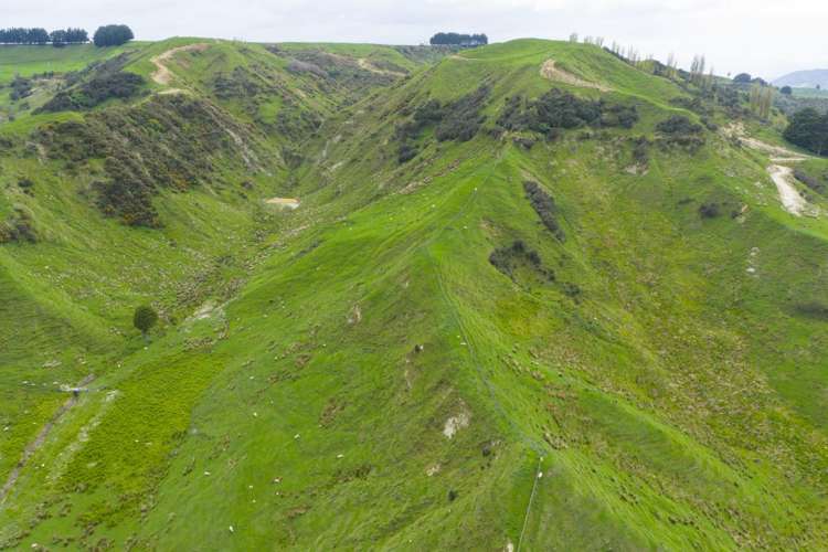 1250 Kaukatea Valley Road Okoia_23