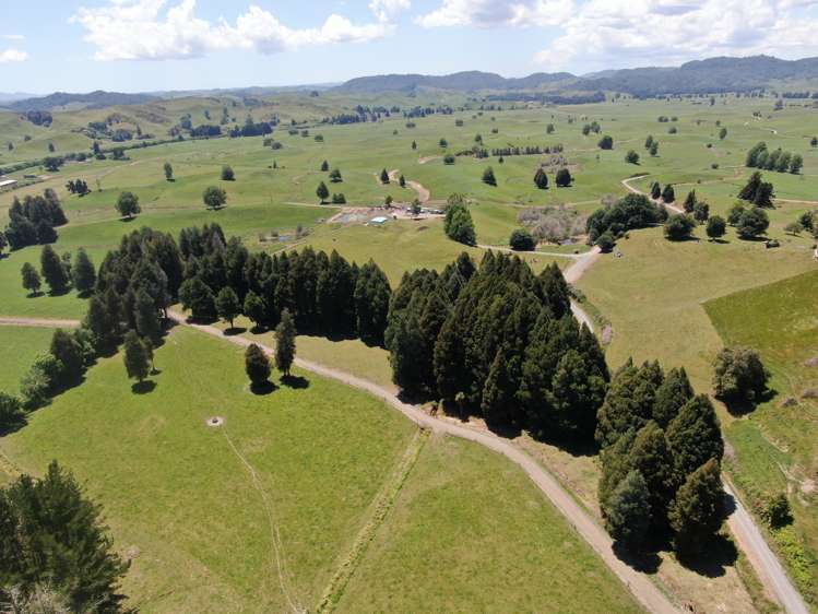 967 Ohura Road Aria_12