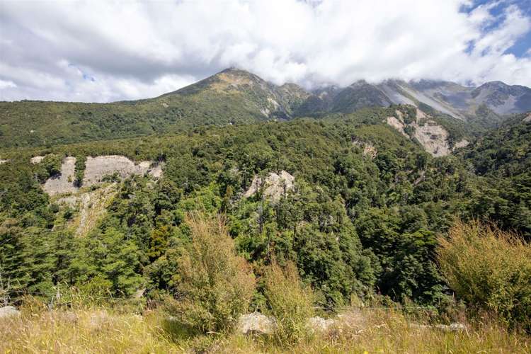 1178 Puhi Puhi Road Puhi Puhi_10