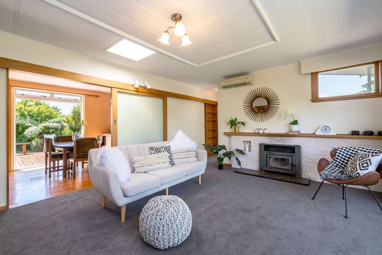 29 Mcmaster Street Greytown_9