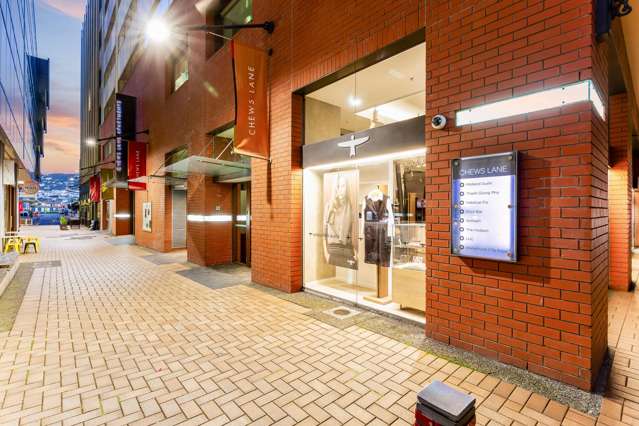 11E/9 Chews Lane Wellington Central_2