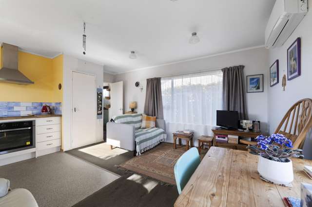 7A Rawhiti Street Vogeltown_2