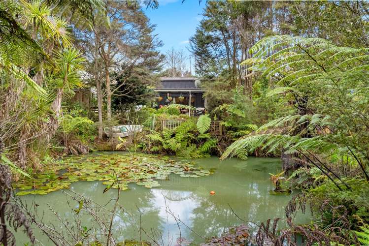 123A Onewhero-Tuakau Bridge Road Onewhero_25