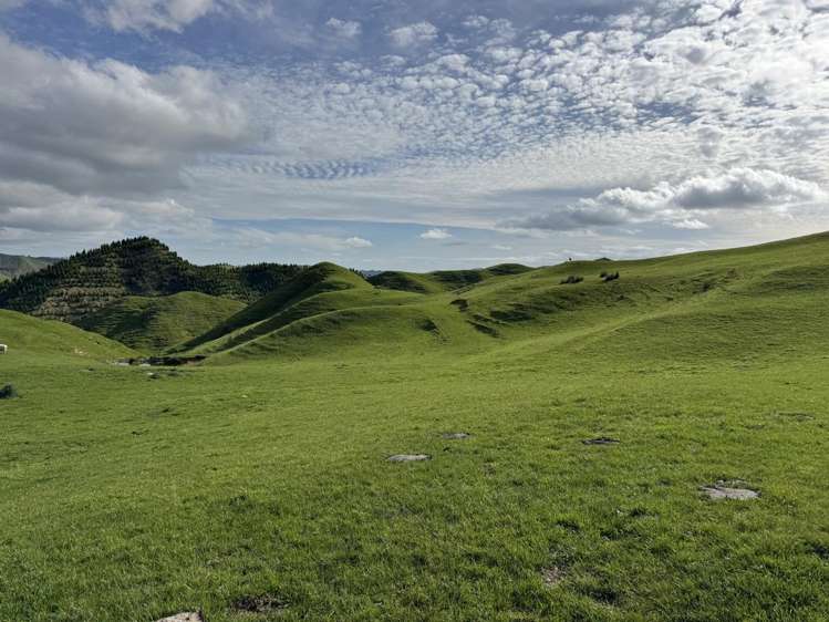 268a Tiriraukawa Road Taihape_0