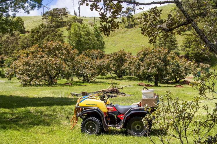 520 Wright Road Aongatete_20