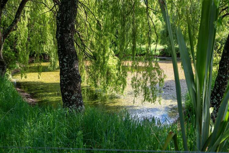 237 Win Valley Road Dovedale_35