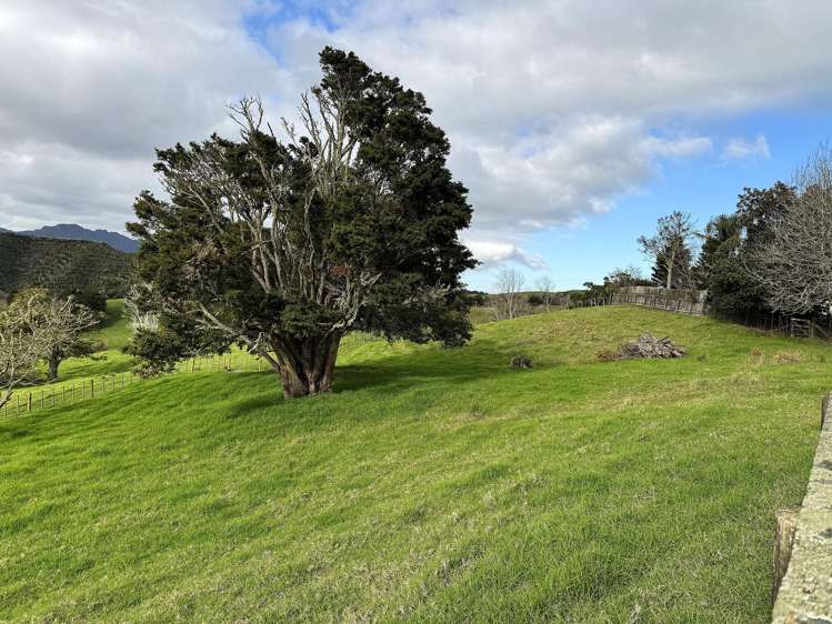 Lot Lot 1/3688 State Highway 14 Tangiteroria_19