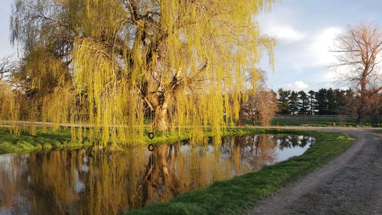 2510 Methven Highway Methven_10