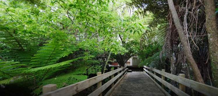 84 Schnapper Rock Road Schnapper Rock_21