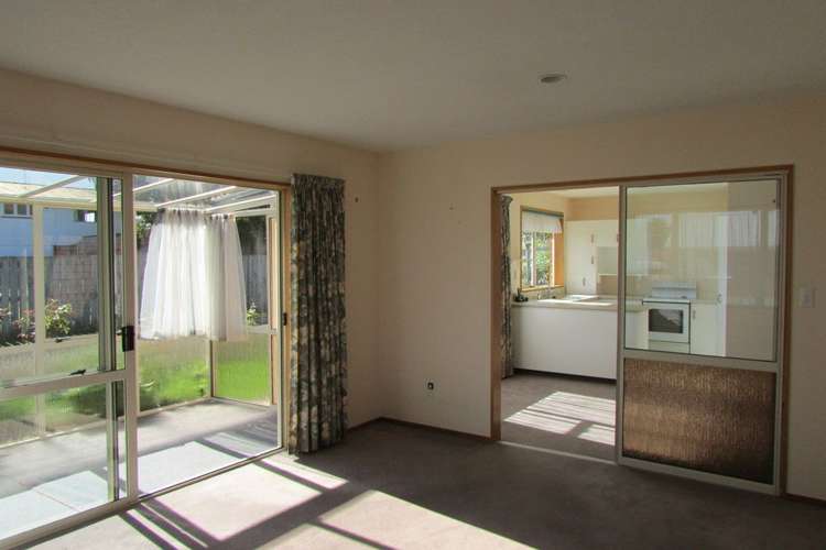 10a York Street Tapanui_5