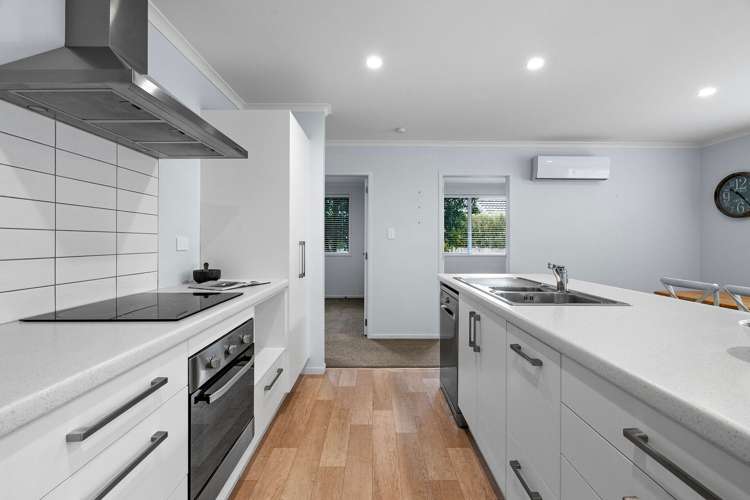 12/162 Waihi Road Judea Tauranga Houses for Rent One Roof