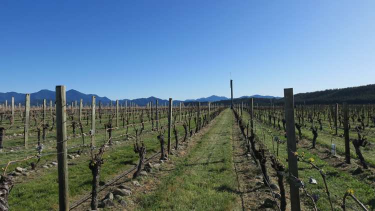 708 Waihopai Valley Road Waihopai Valley_6