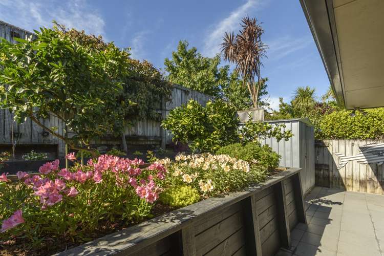 106 Westmorland Rise Bethlehem_24