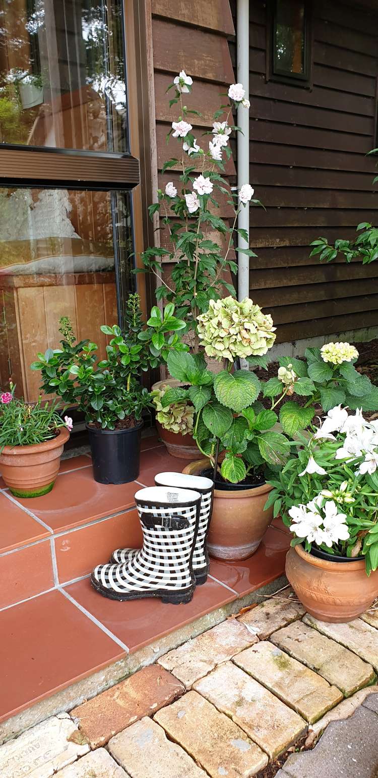 131 Totara Valley Road Thames_23