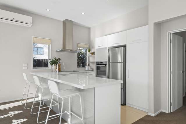 536 Armagh Street Linwood_4