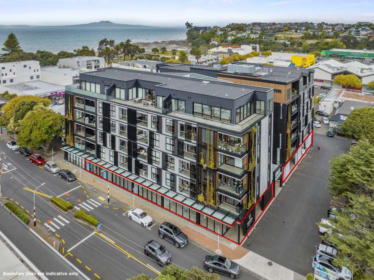 4 Bute Road Browns Bay North Shore City Commercial Property For