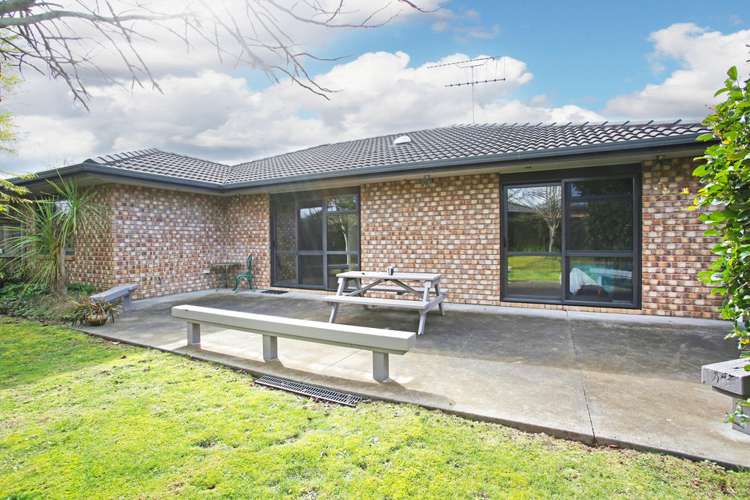 36 Moloney Terrace Pukekohe_10