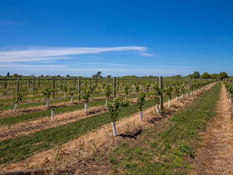 100 Watsons Road Grovetown_17