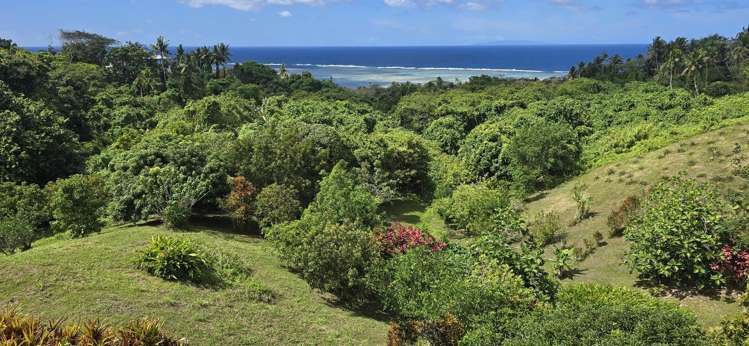 Address withheld Savusavu_14