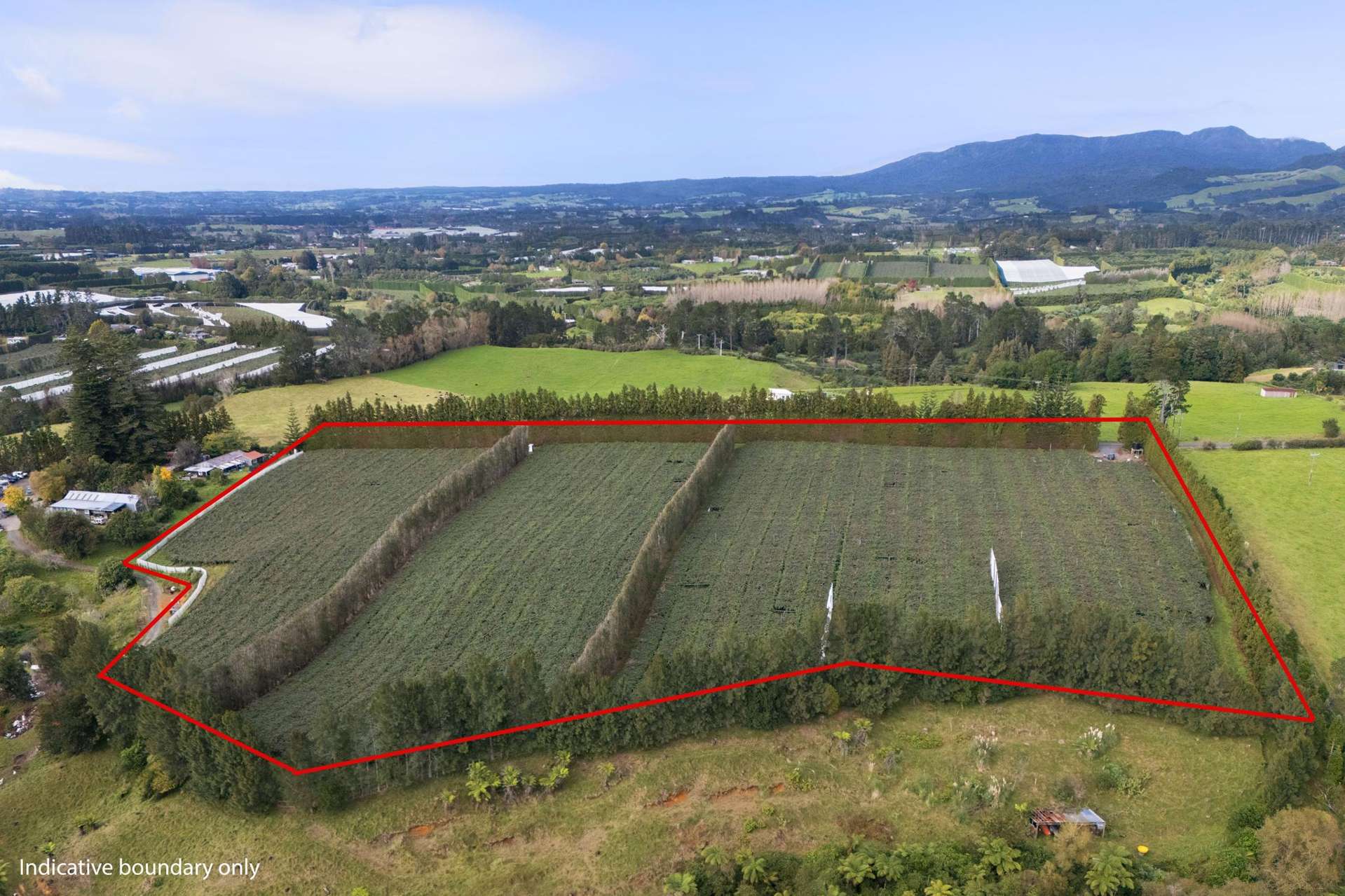168 Henry Road Katikati_0