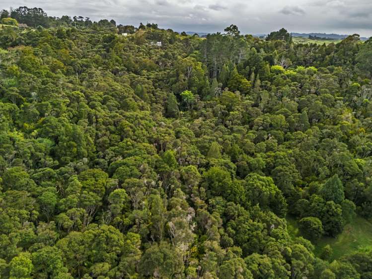 191 Opara Road Oue_32