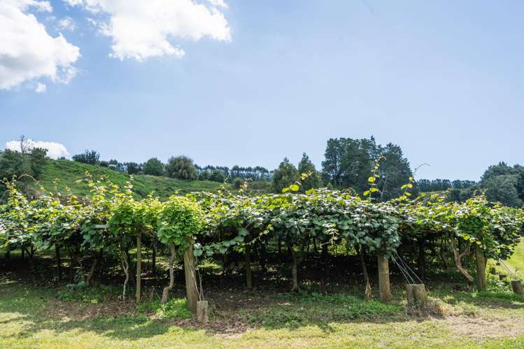 730 Old Coach Road Pongakawa_23