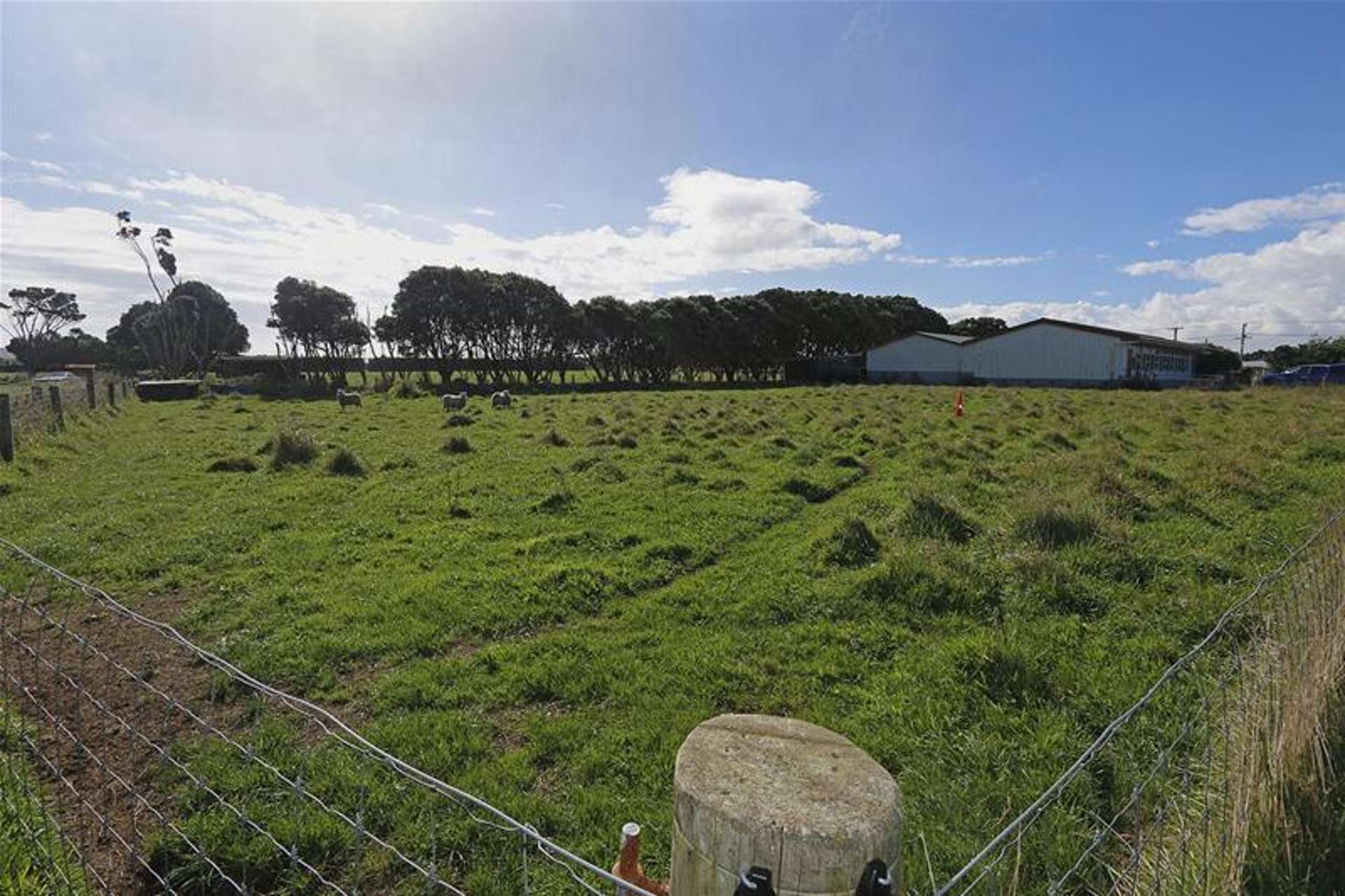 Allison Street Opunake_0