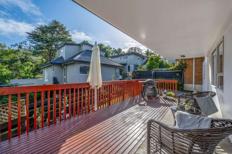 3/19 Waterloo Street Howick_13