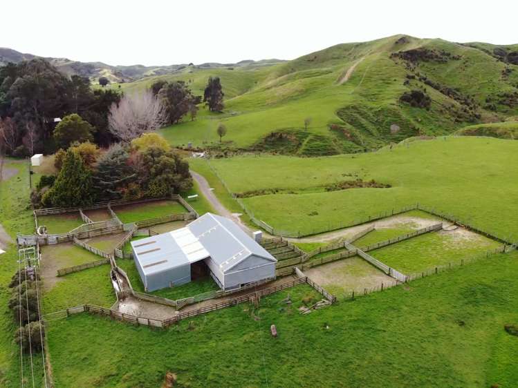 130 Bowen Road Eketahuna_1