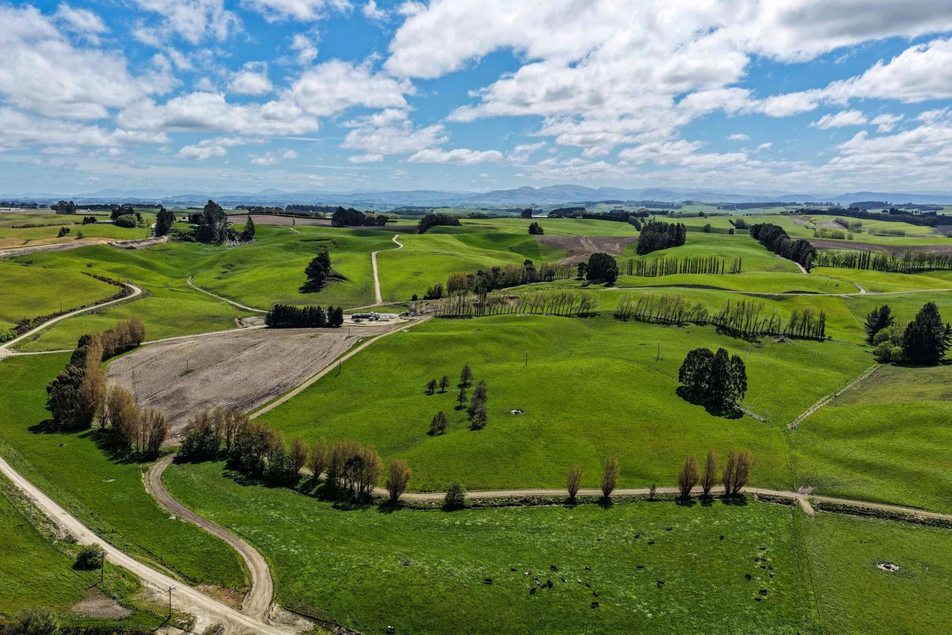 316 McDonald Road Pukerau_0