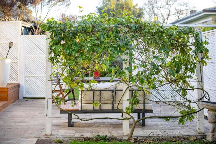 108 Fox Street Hamilton East_7