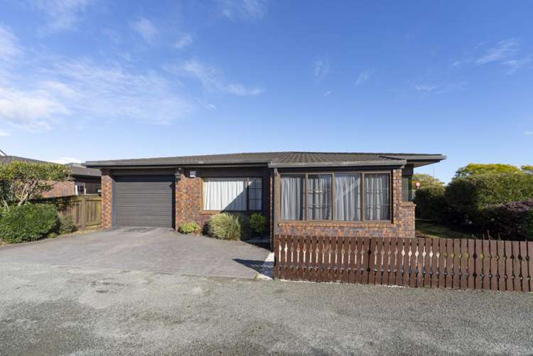 389 Nayland Road Stoke_13