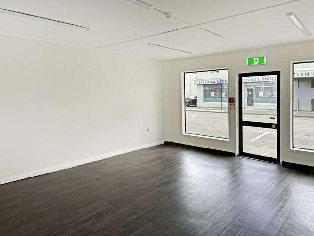 112 Dalton Street Napier South_1