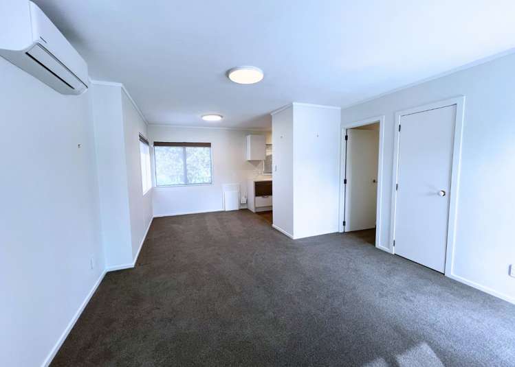 17 Okura River Road Okura_2