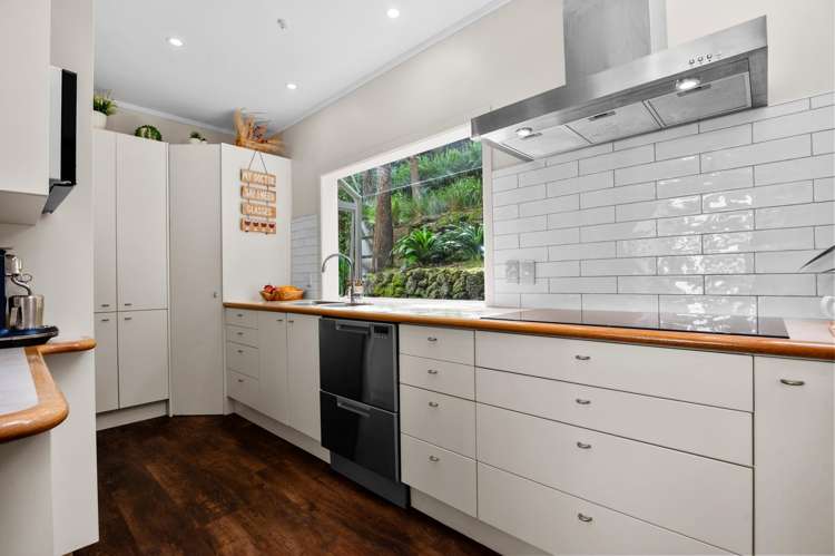 59 Pohutukawa Avenue Shelly Park_6