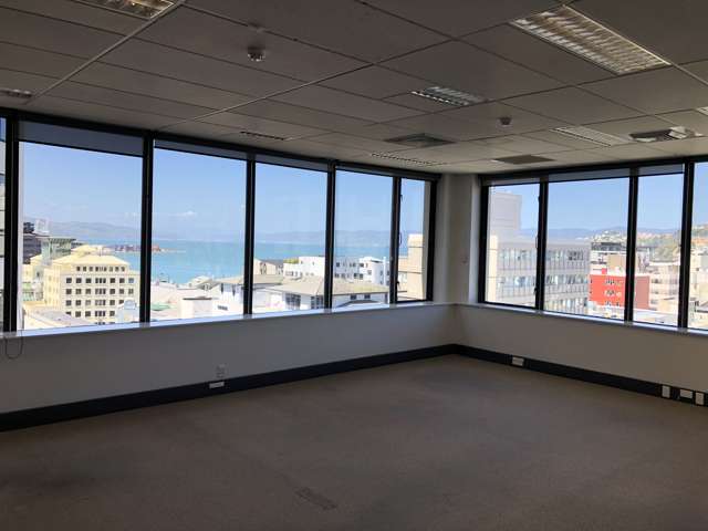 120 Victoria Street Te Aro_3