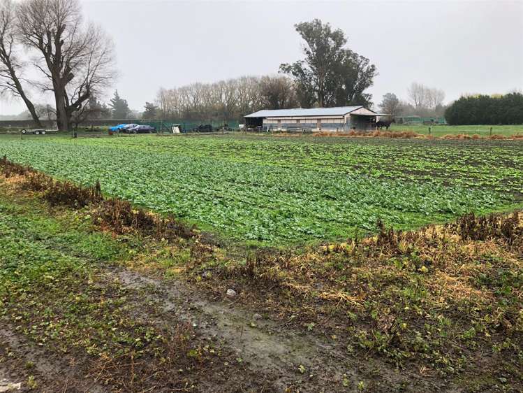 44 School Road Yaldhurst_15