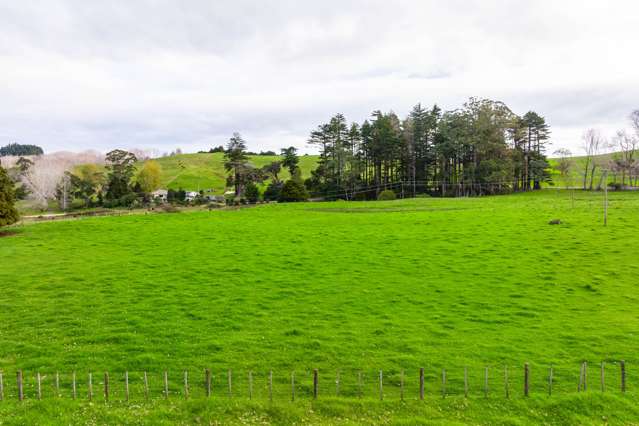 Omana Road Tangiteroria_4