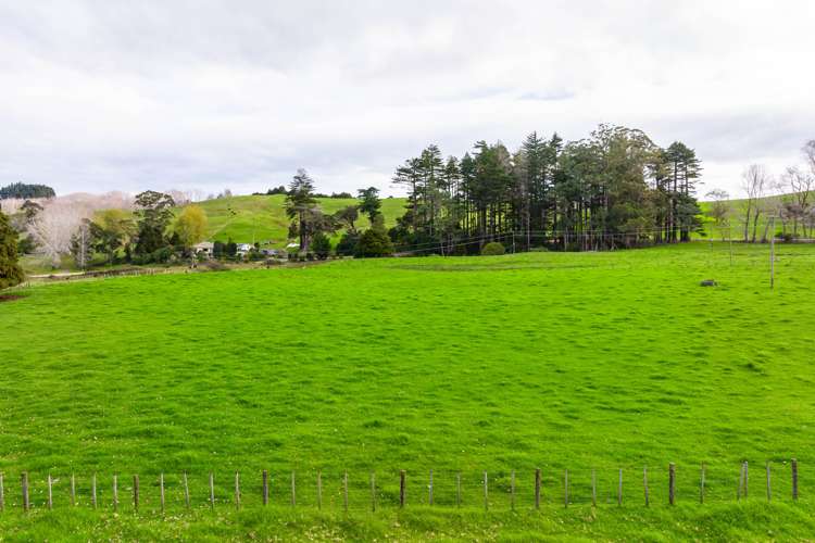 Omana Road Tangiteroria_4