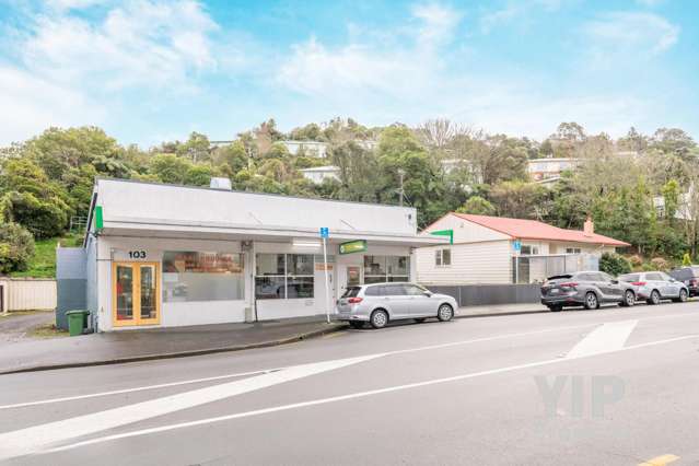 103 & 105 Newlands Road Newlands_3