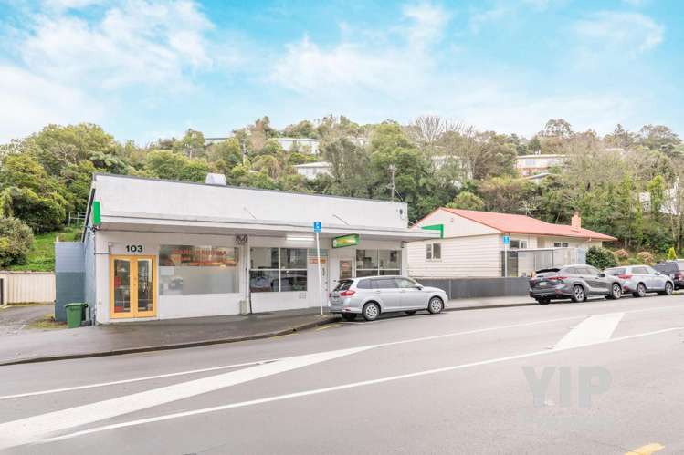 103 & 105 Newlands Road_3